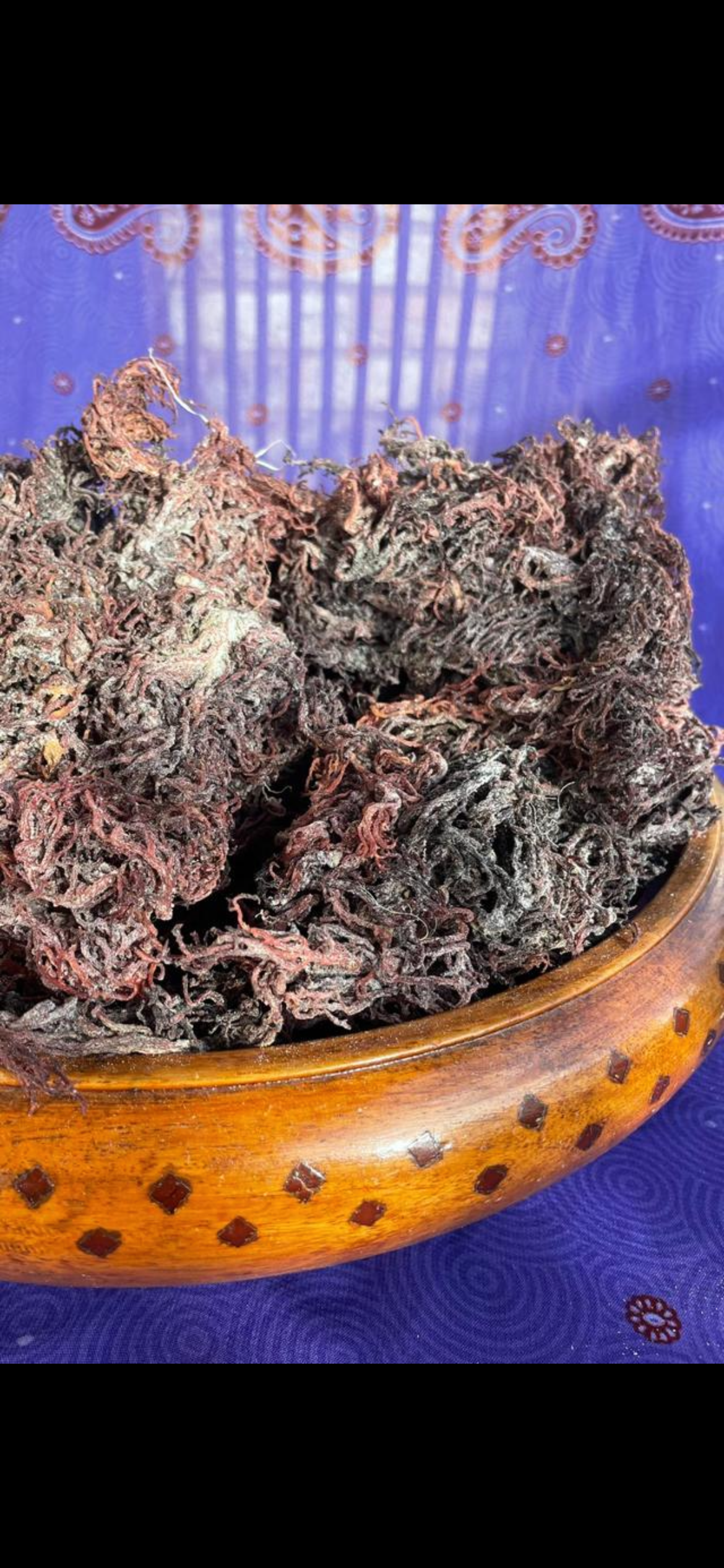 Organic & Wildcrafted Purple Seamoss (Genus Gracilaria)