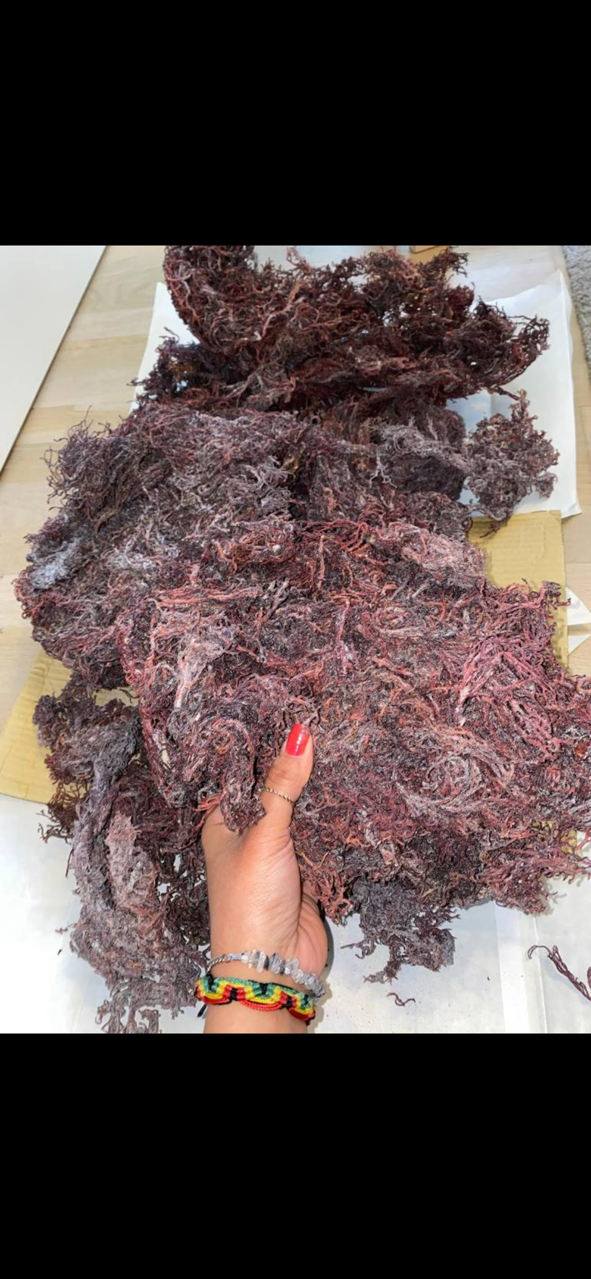Organic & Wildcrafted Purple Seamoss (Genus Gracilaria)